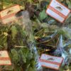 Baby Leaf Salad