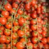 Tomatoes (Cherry Vine)