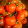 Tomatoes (Large Vine)