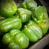 Peppers, Large (Green)