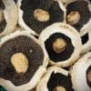 Mushrooms (Field) 250g