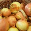 Onions (Brown) - 750g