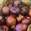 Onions (Red) - 750g