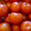 Tomatoes (Salad)