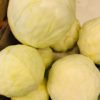 Cabbage (White)